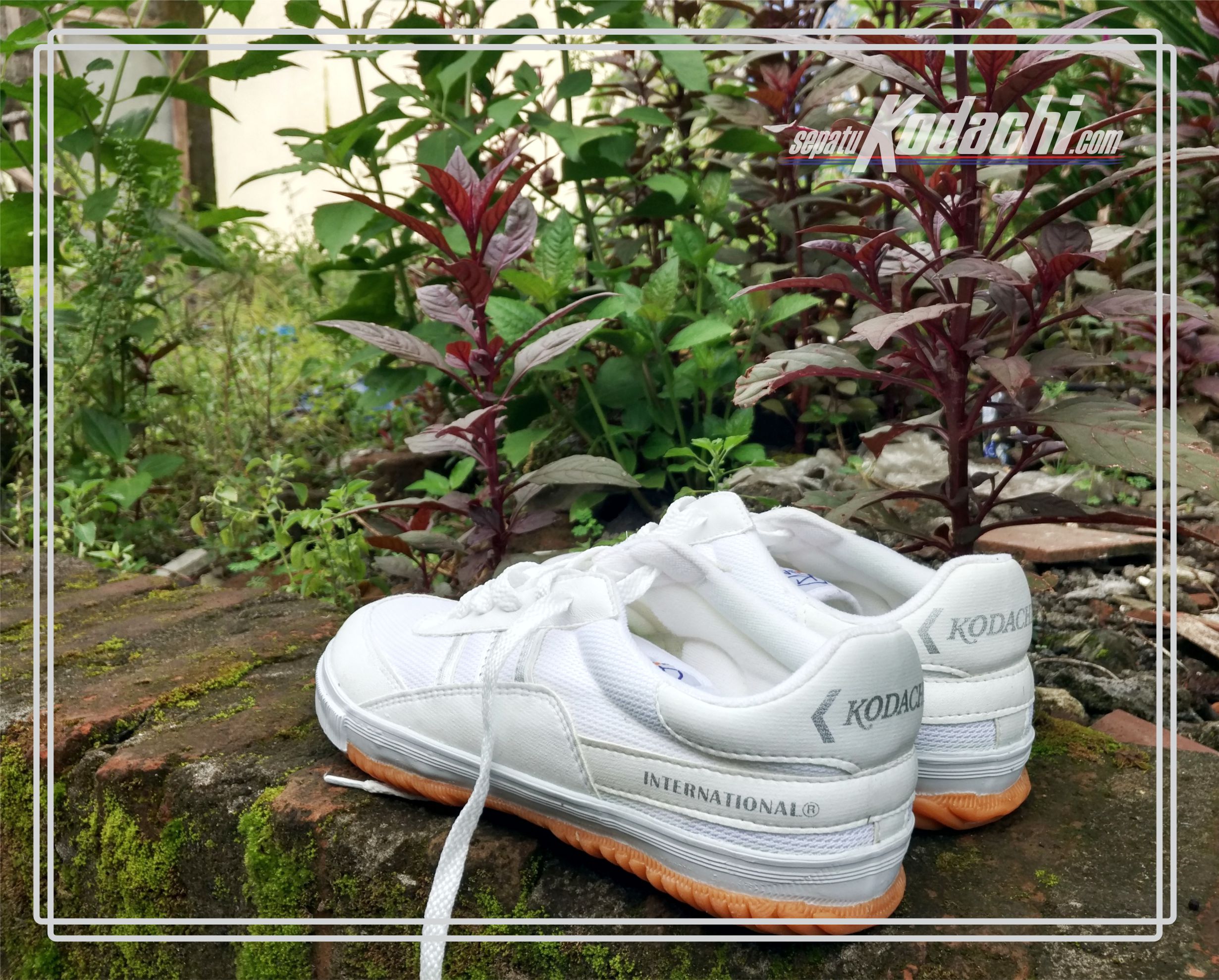 Sepatu Kodachi 8115 Putih  Sepatu Kodachi